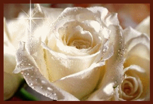 une belle fleur pour  tarik