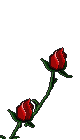 hasna